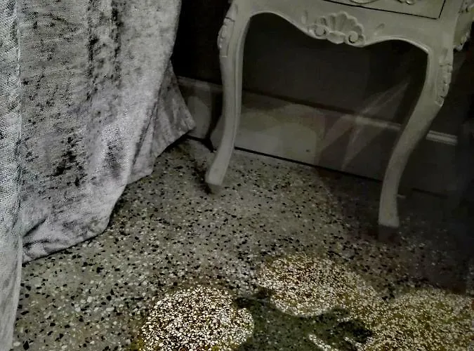 ضيافة لانتيكو ليدو فينيس 3* البندقية-ليدو